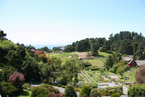 ocean-view-stanford-inn-mendocino