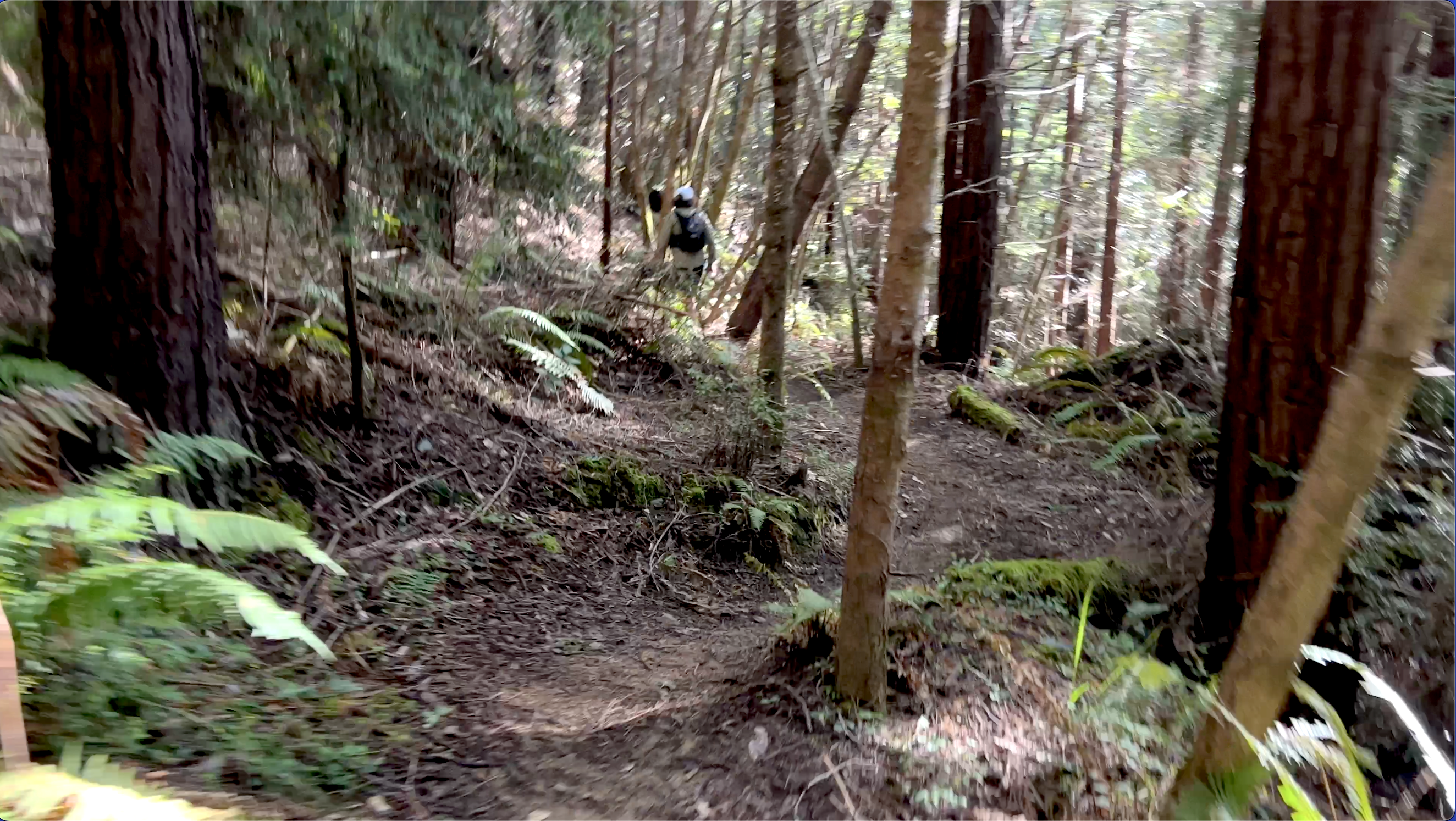 Trail Pic mendocino vacation packages: bluff view of ocean