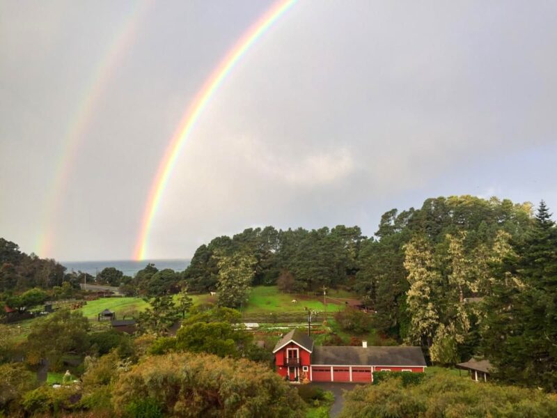 Rainbow2025 rainbow over stanford inn mendocino